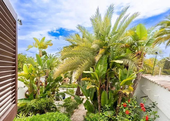 Detached House Big Terrace, Few Steps Away From The Beach, Paddel, Golf, Bbq