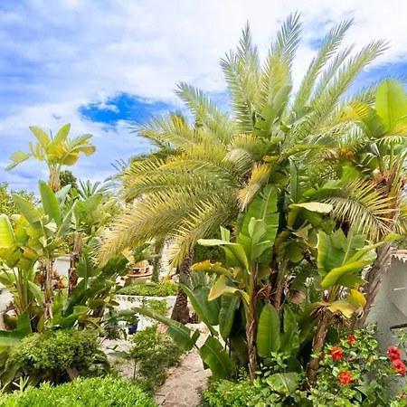 Detached House Big Terrace, Few Steps Away From The Beach, Paddel, Golf, Bbq